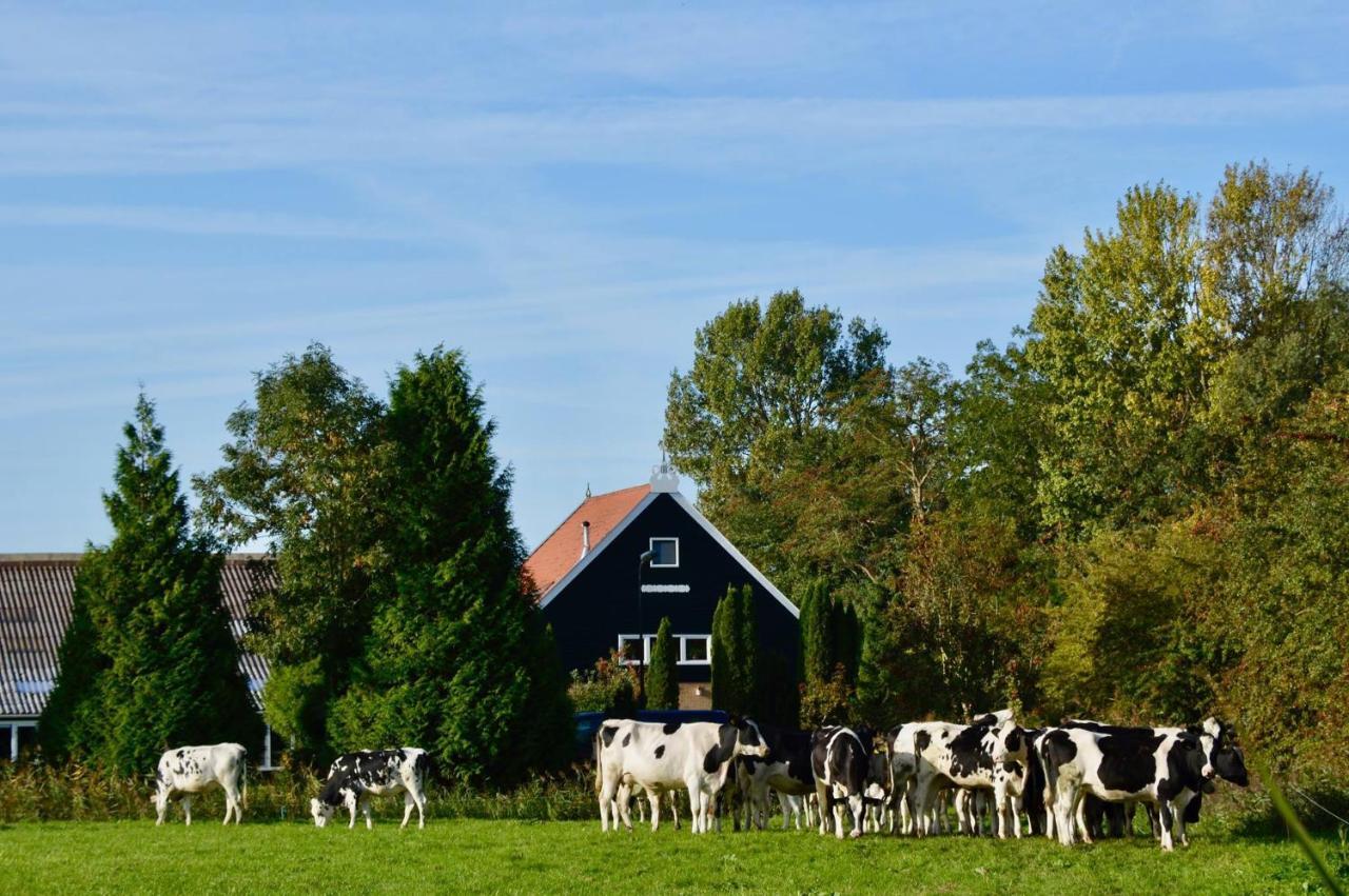 Vakantiehuis Het Voorhuis Op Landgoed Koepeltjesplaats Gaast المظهر الخارجي الصورة