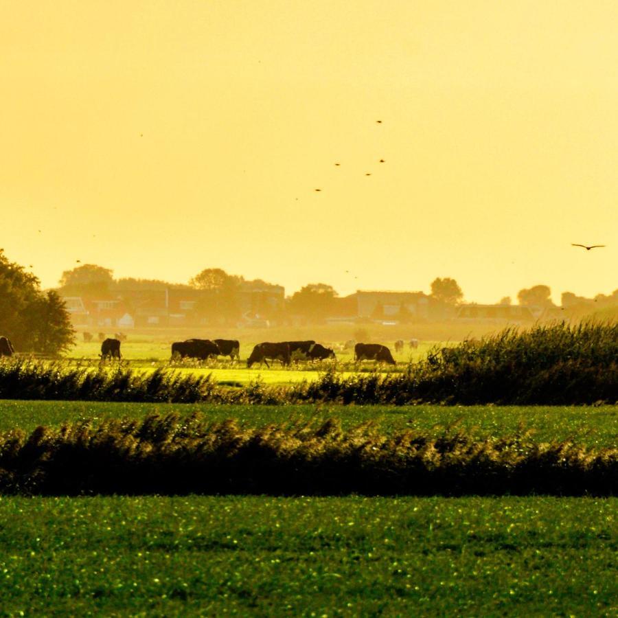 Vakantiehuis Het Voorhuis Op Landgoed Koepeltjesplaats Gaast المظهر الخارجي الصورة
